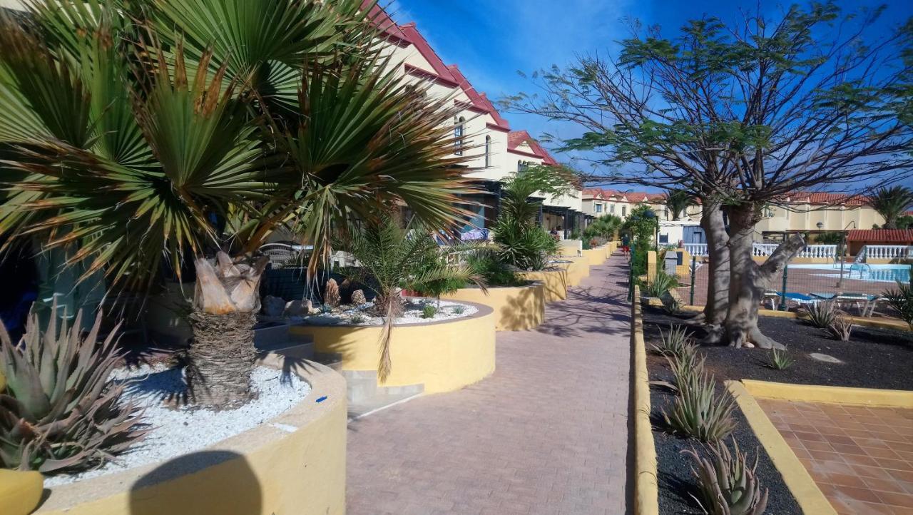 Green Oasis By The Pool Costa Calma Luaran gambar